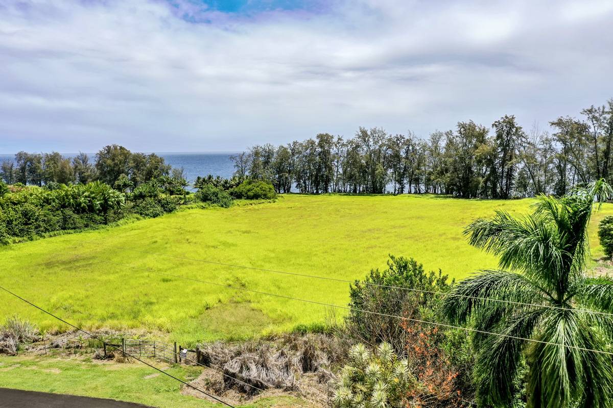 Pepeekeo, HI 96783,28-3280 BEACH RD