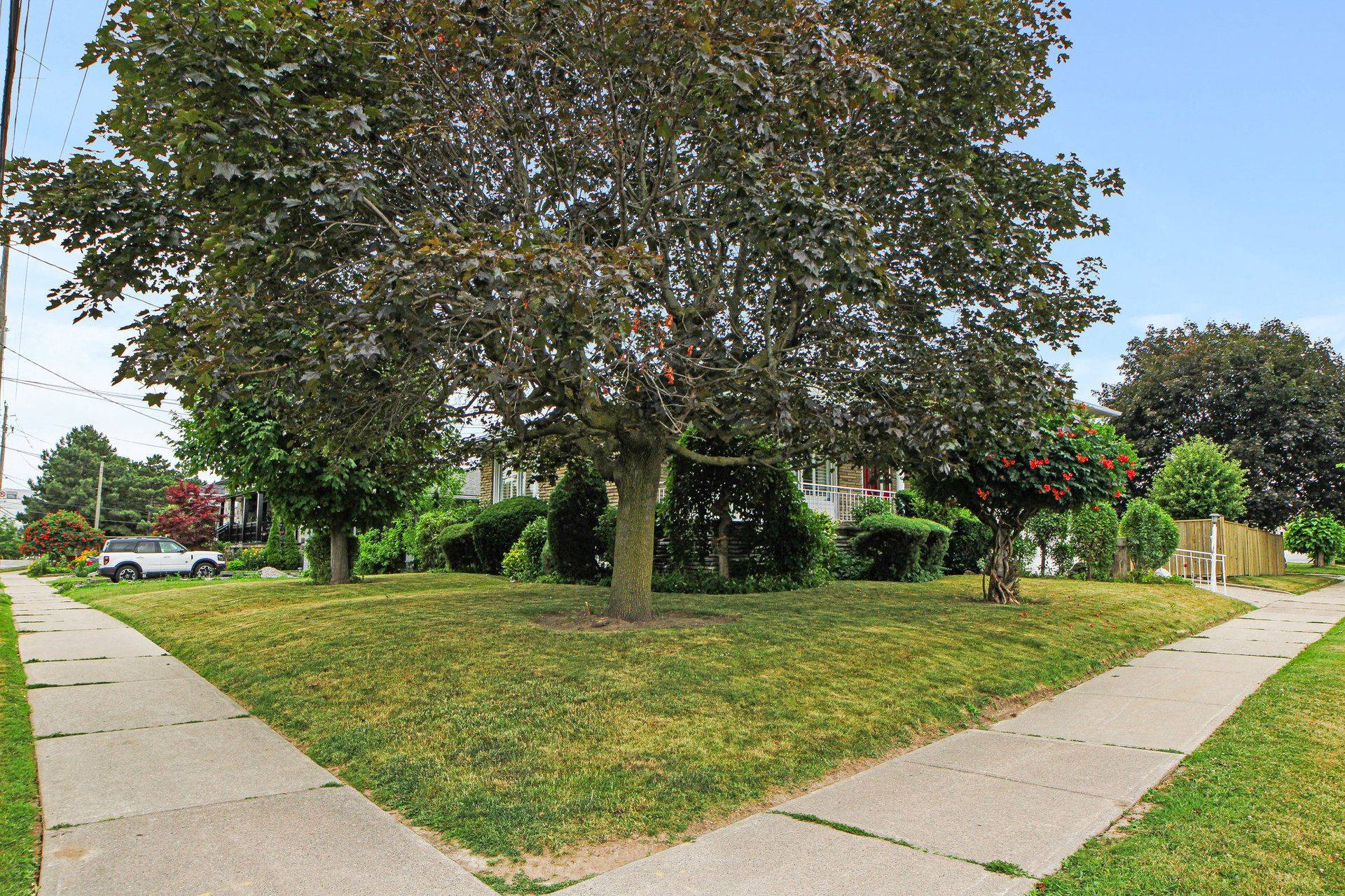 Toronto W04, ON M6A 1L5,63 Sparrow AVE