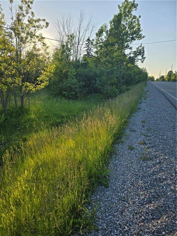 Haldimand, ON N3W 1V7,1533 Hwy #54 N/A