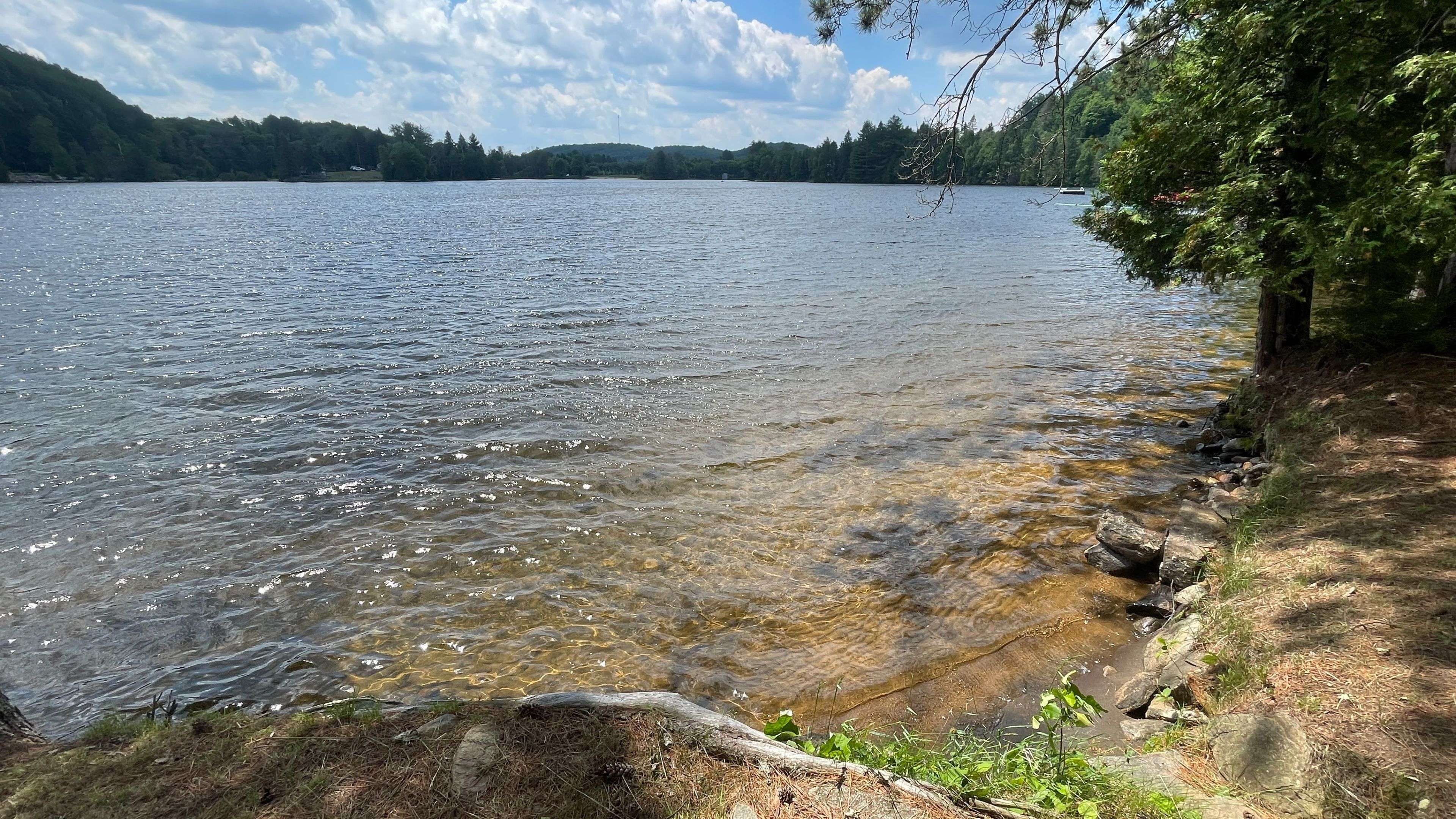 Highlands East, ON K0L 3C0,1035 Dark Lake RD