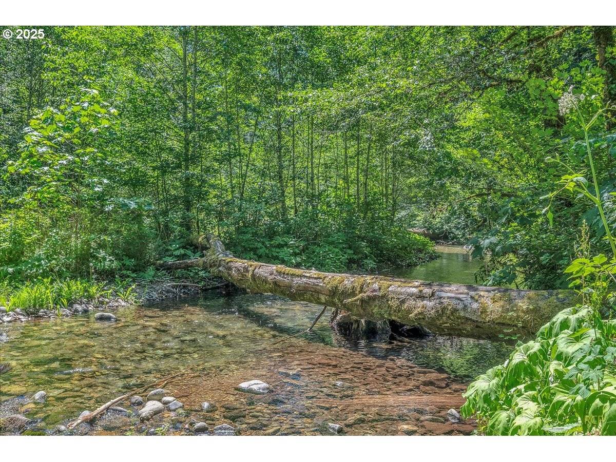 Rhododendron, OR 97049,30352 E ROAD 12
