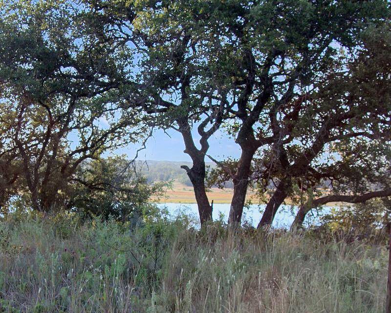 Brownwood, TX 76801,TBD Summer Wind Drive