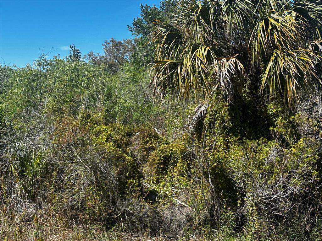 Okeechobee, FL 34972,19093 NW 302nd St
