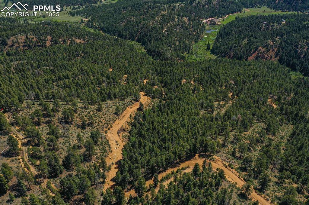 Woodland Park, CO 80863,29545 Highway 67