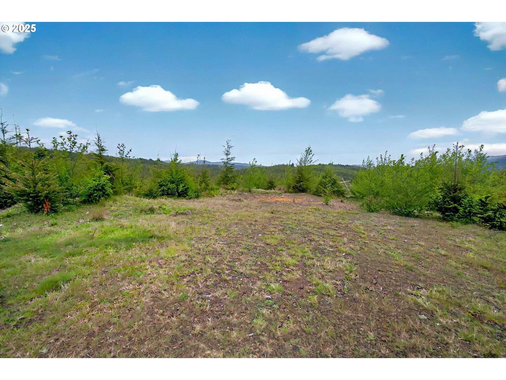 Naselle, WA 98638,4 Parpala RD #4