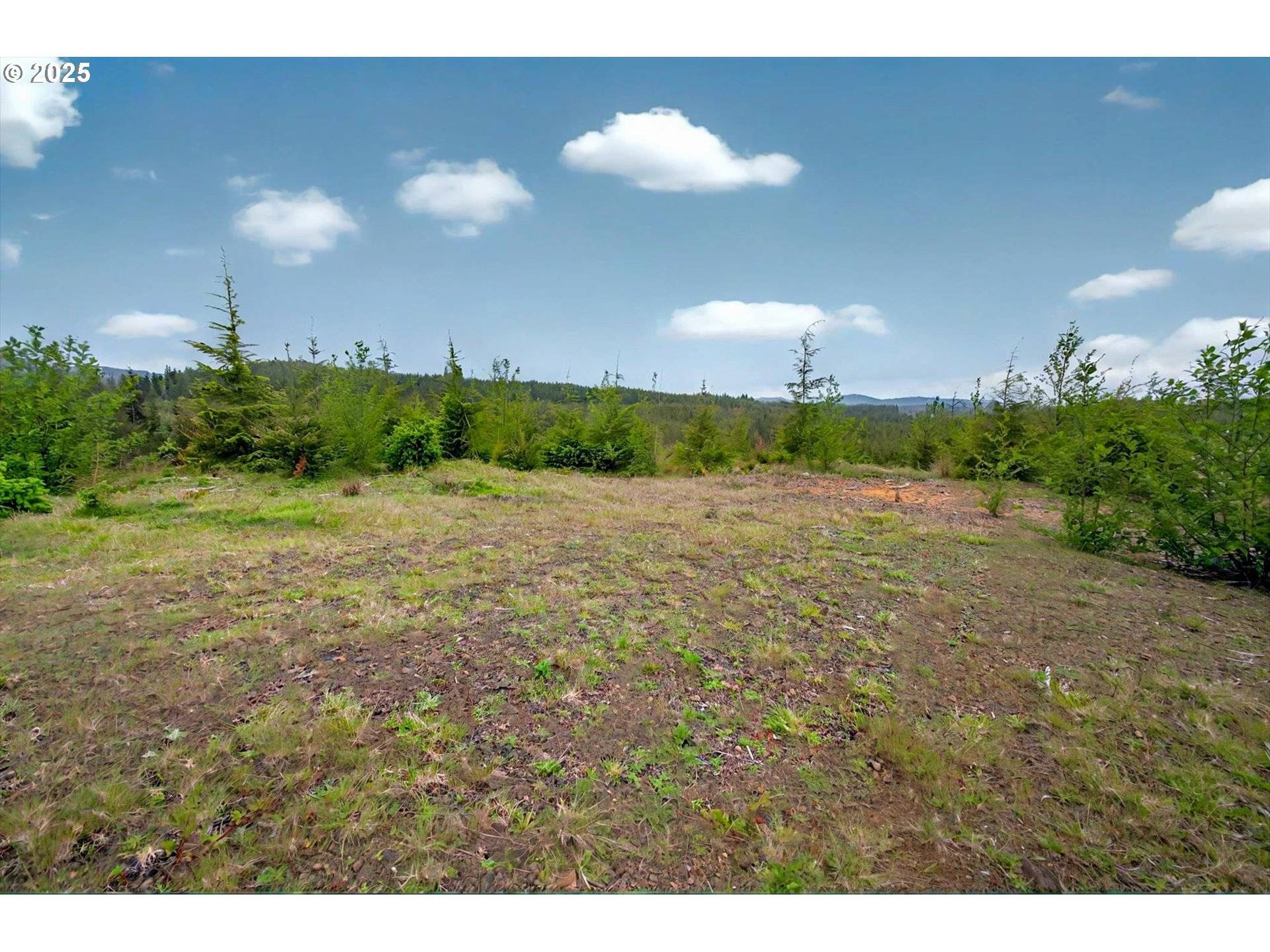 Naselle, WA 98638,4 Parpala RD #4