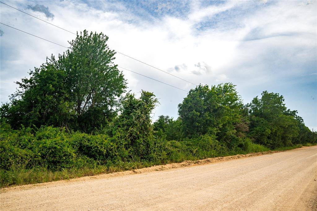 Milano, TX 76556,2553 County Road 328