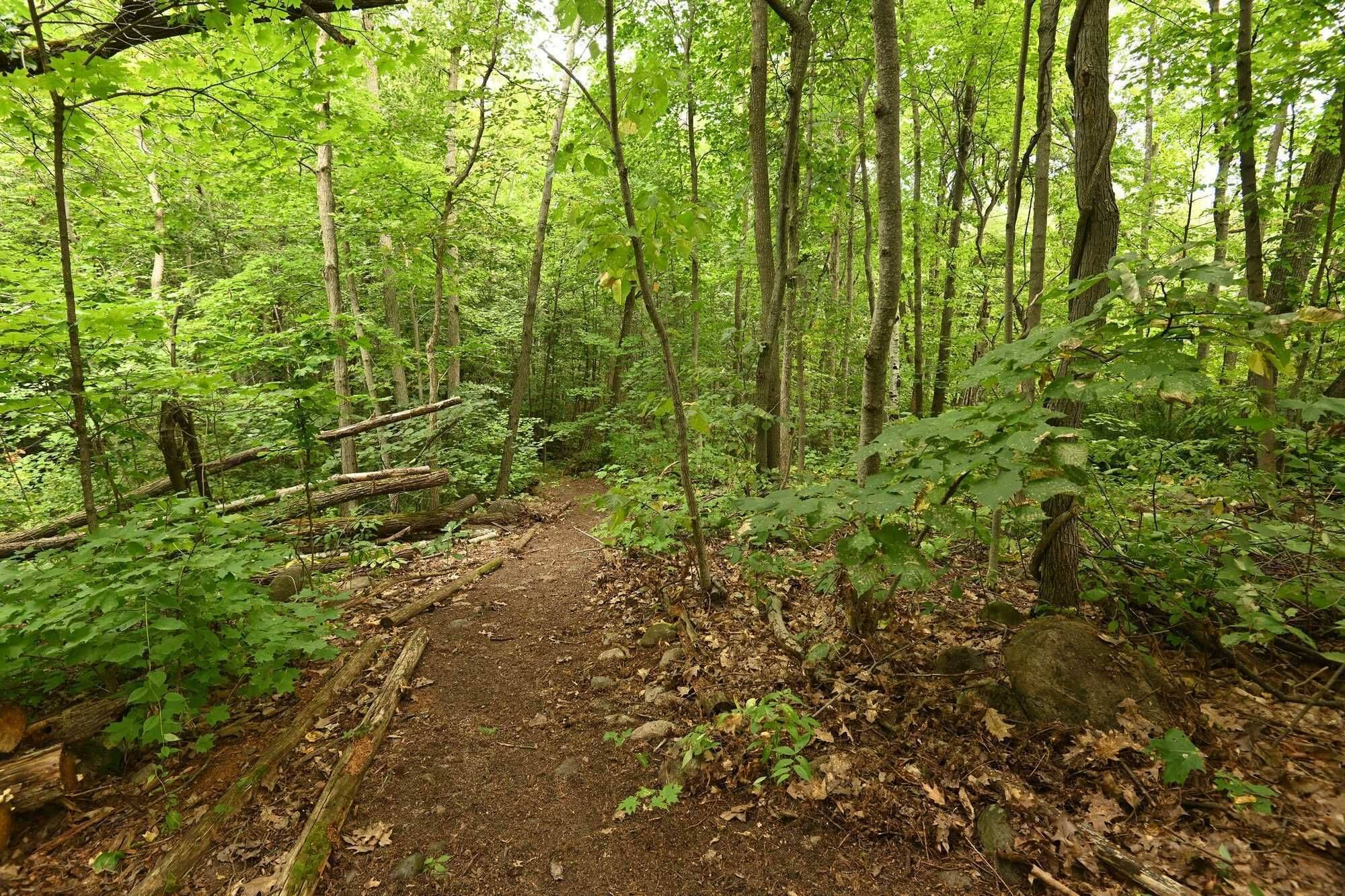 West Nipissing, ON P2B 2M9,WC21 Hardwood Island East N/A