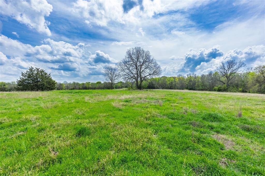 Lone Oak, TX 75453,Lot 9 County Road 3401
