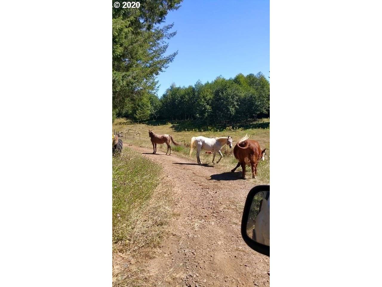 Corbett, OR 97019,40535 SE TROUT CREEK RD