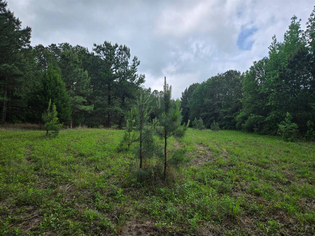Overton, TX 75684,500 Uren Lee Road