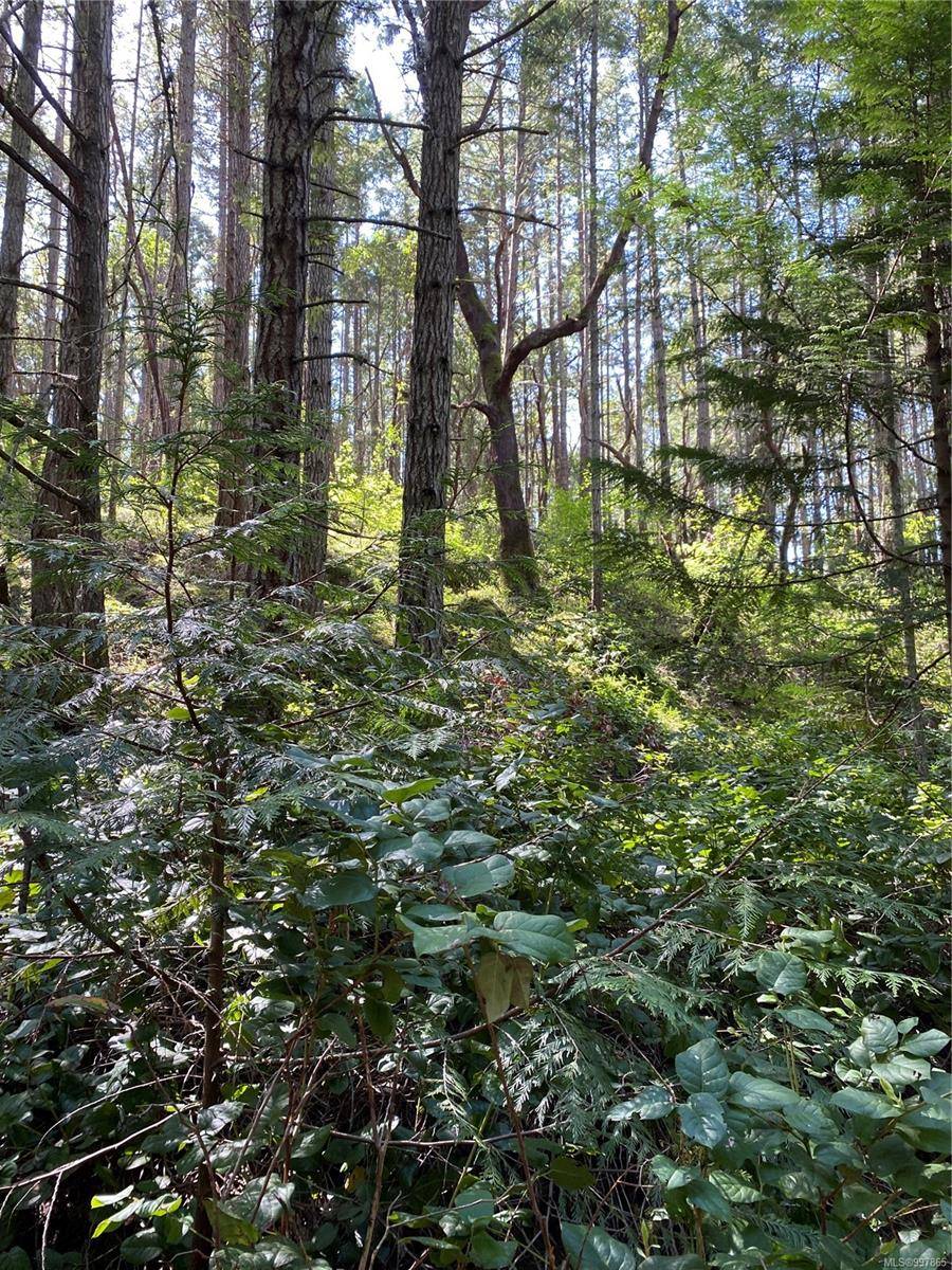Ruxton Island, BC V0V 0V0,Lot 36 Ruxton Island