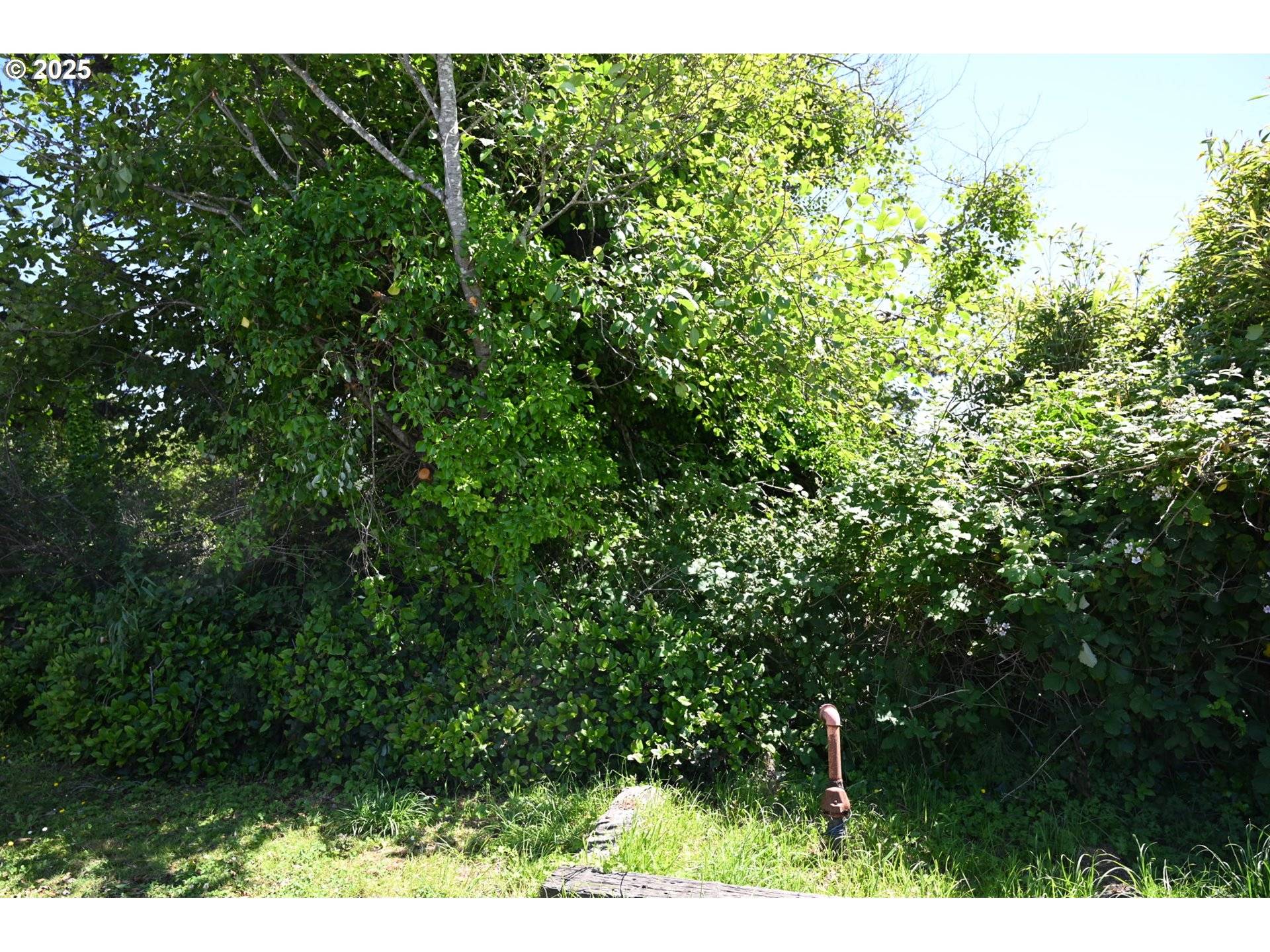 Rockaway Beach, OR 97136,Sea View-Bk18 Beacon ST #15-17