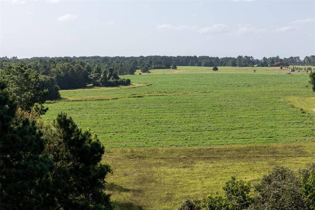 Grapeland, TX 75844,00 County Road 2180