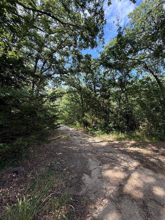 Quinlan, TX 75474,00 County Road 3605