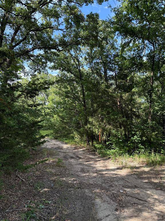 Quinlan, TX 75474,00 County Road 3605