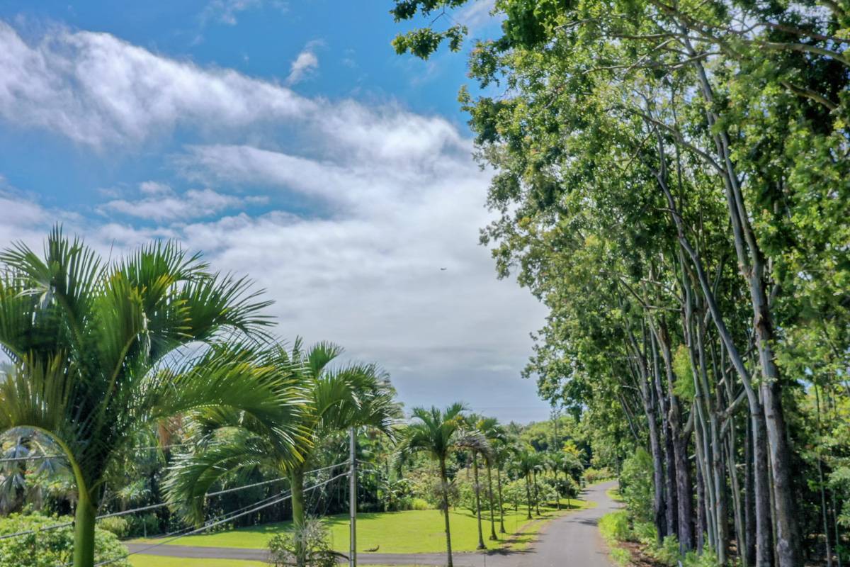Pepeekeo, HI 96781,27-536 ALAKAHI PL #LOT B