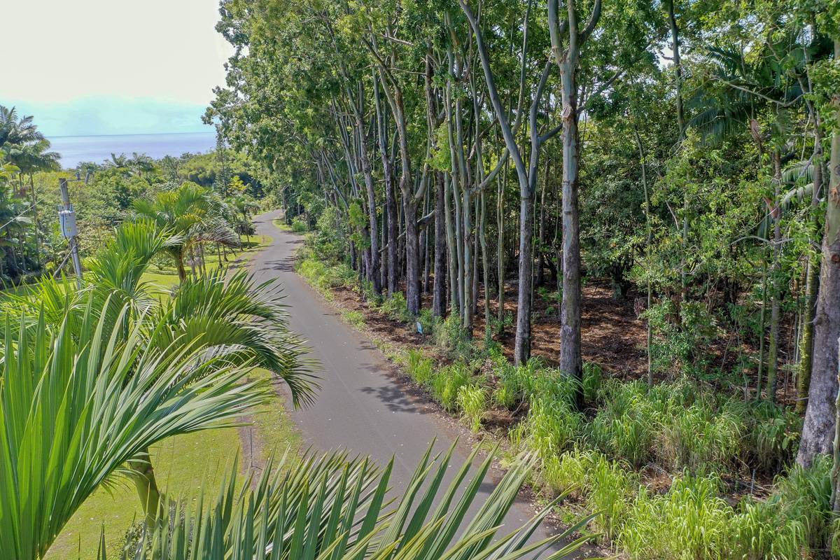 Pepeekeo, HI 96781,27-536 ALAKAHI PL #LOT B
