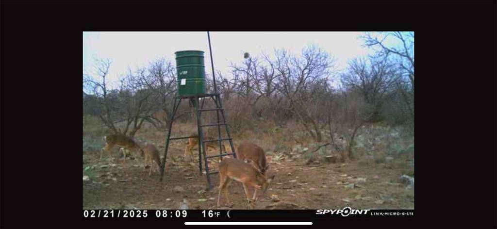 Brady, TX 76825,101 Sika Spur