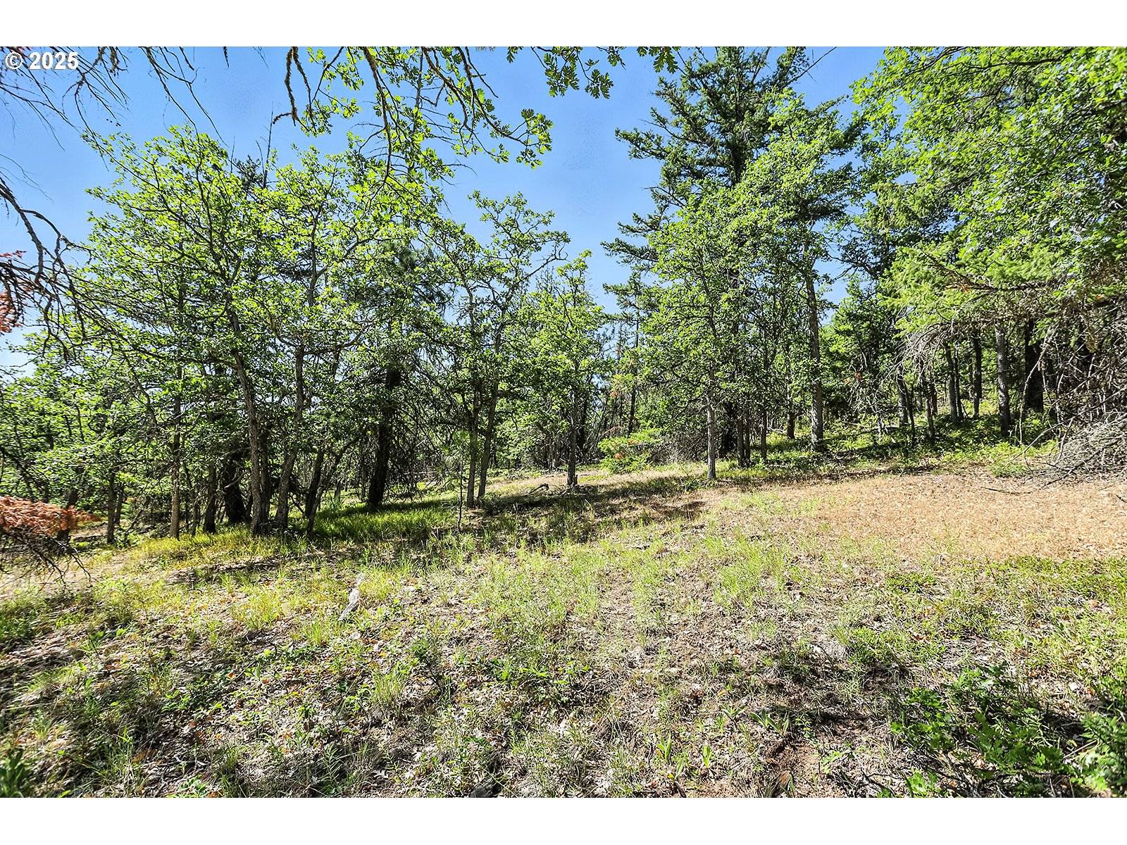 Goldendale, WA 98620,Forest Glen
