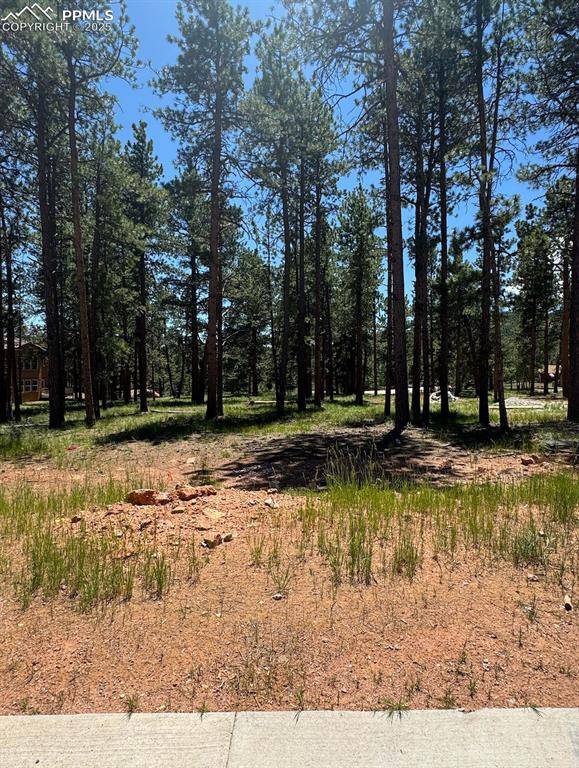 Woodland Park, CO 80863,1287 Firestone DR