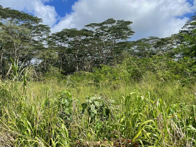 Kurtistown, HI 96760