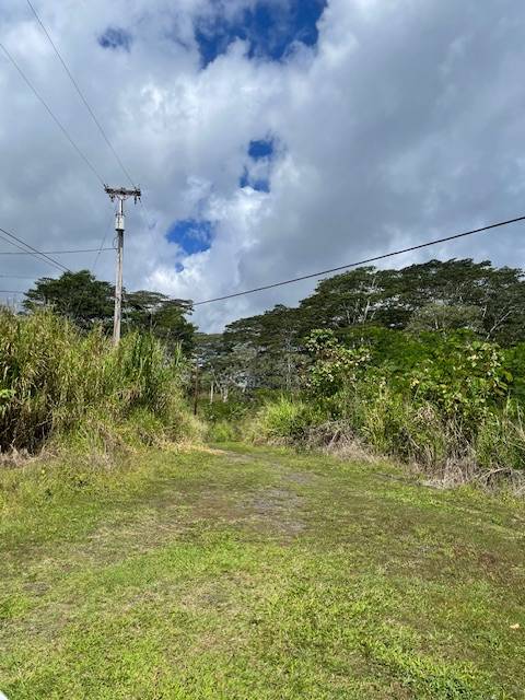 Kurtistown, HI 96760