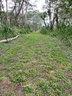 Kurtistown, HI 96760