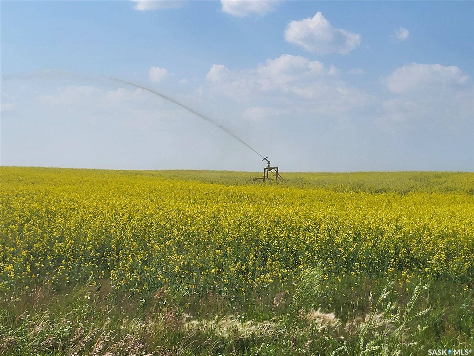 Battle River Rm No. 438, SK S0M 0E0,Rural Address