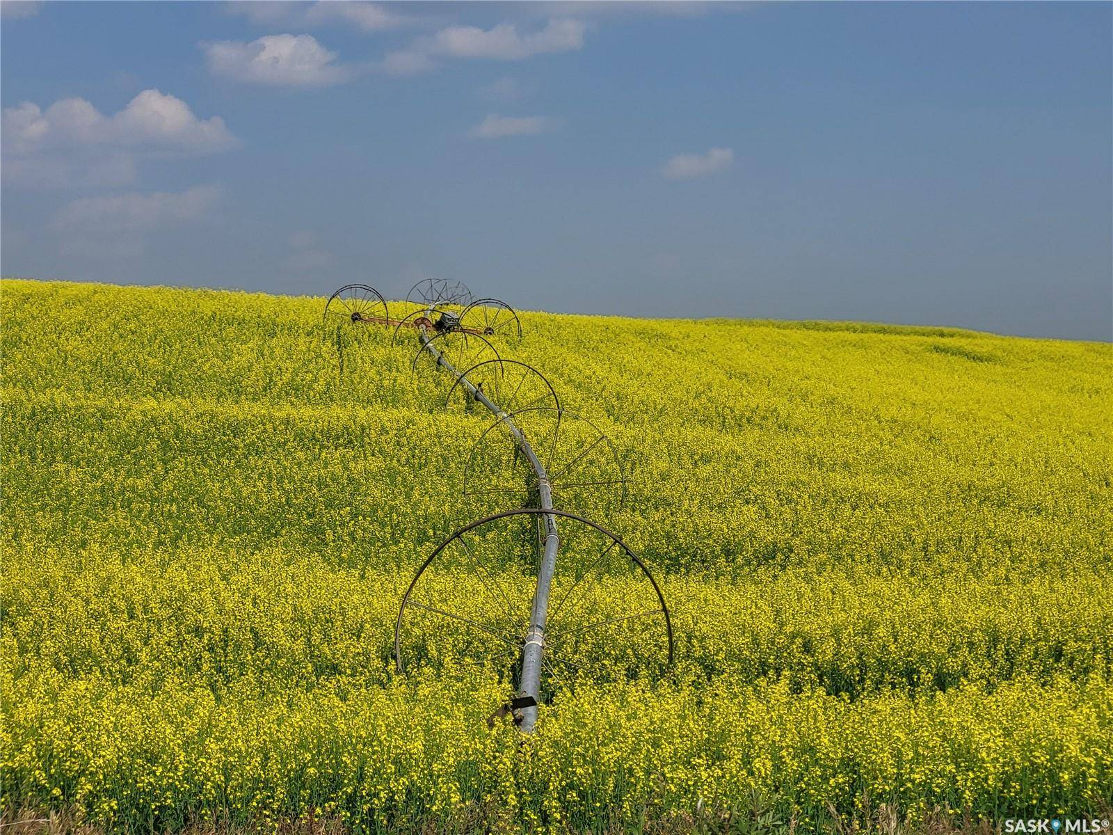 Battle River Rm No. 438, SK S0M 0E0,Rural Address