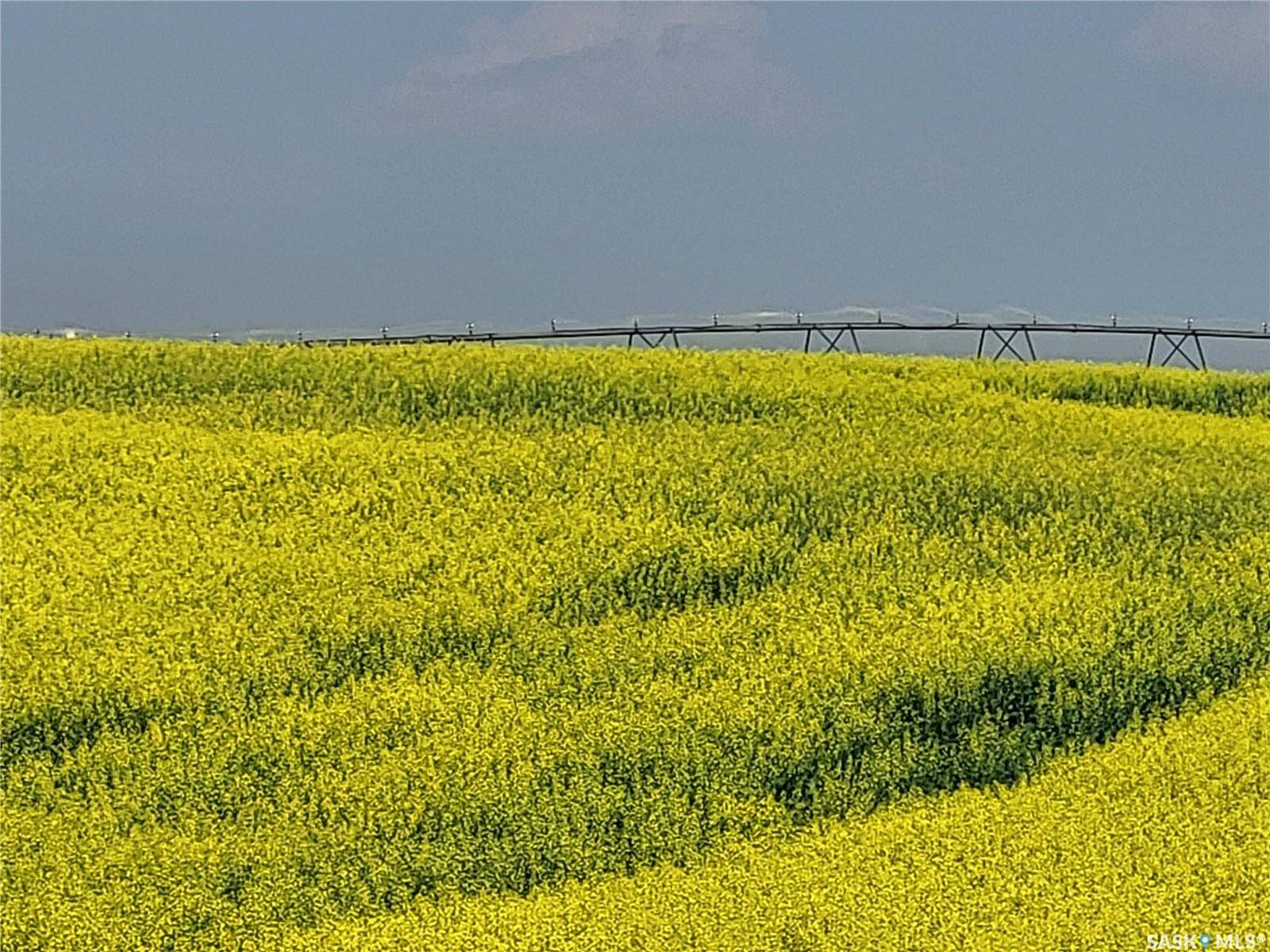 Battle River Rm No. 438, SK S0M 0E0,Rural Address