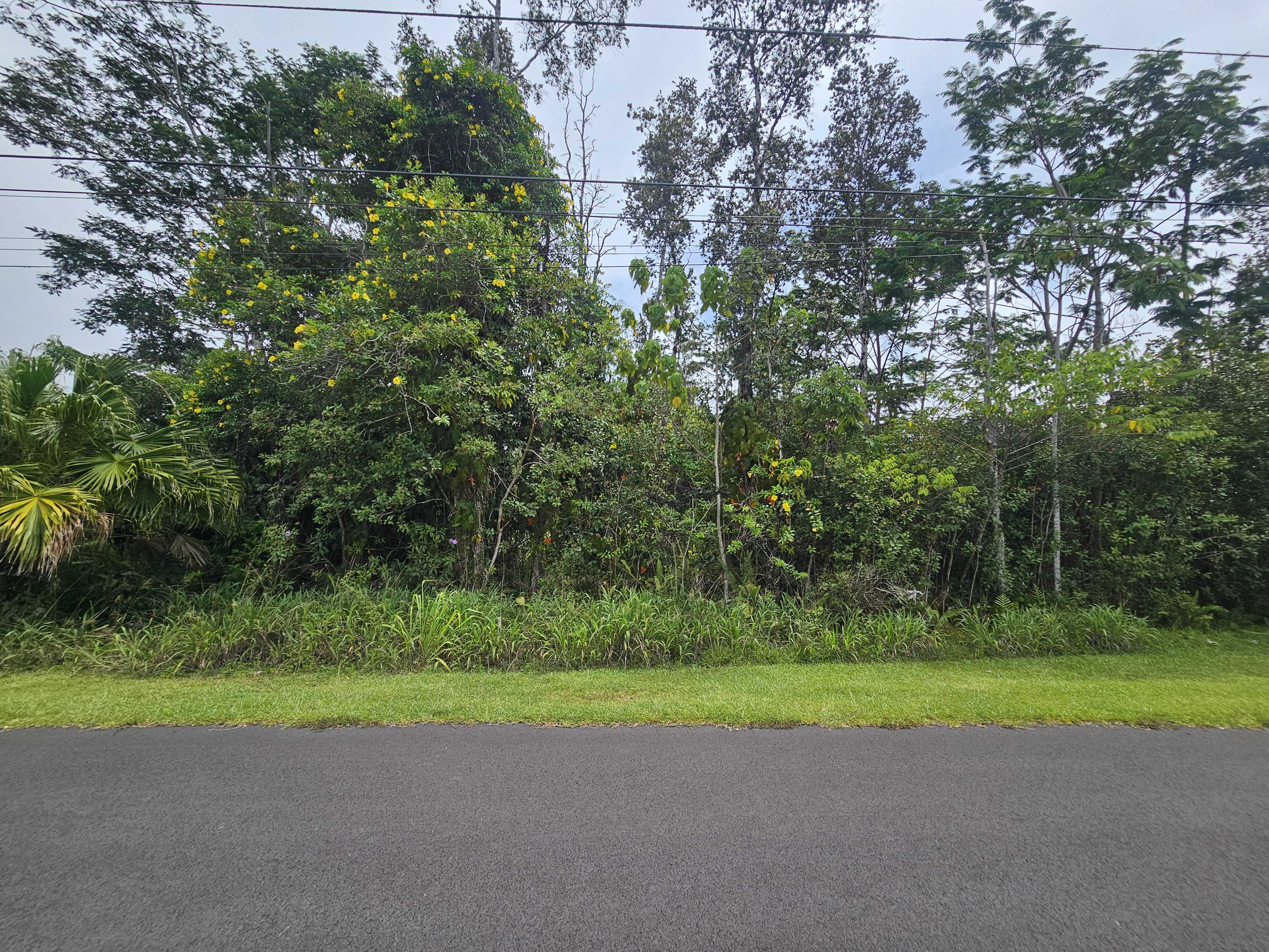 Pahoa, HI 96778,INA ST