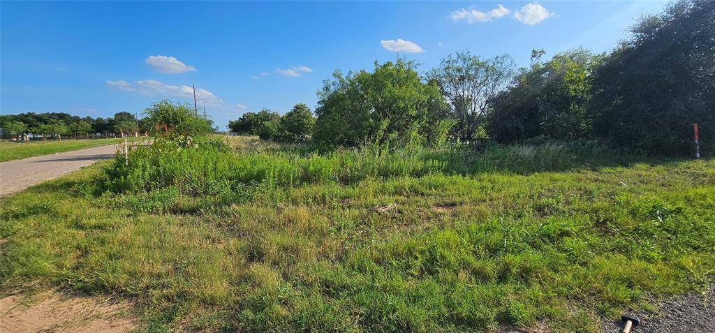 Clyde, TX 79510,TBD CR 250