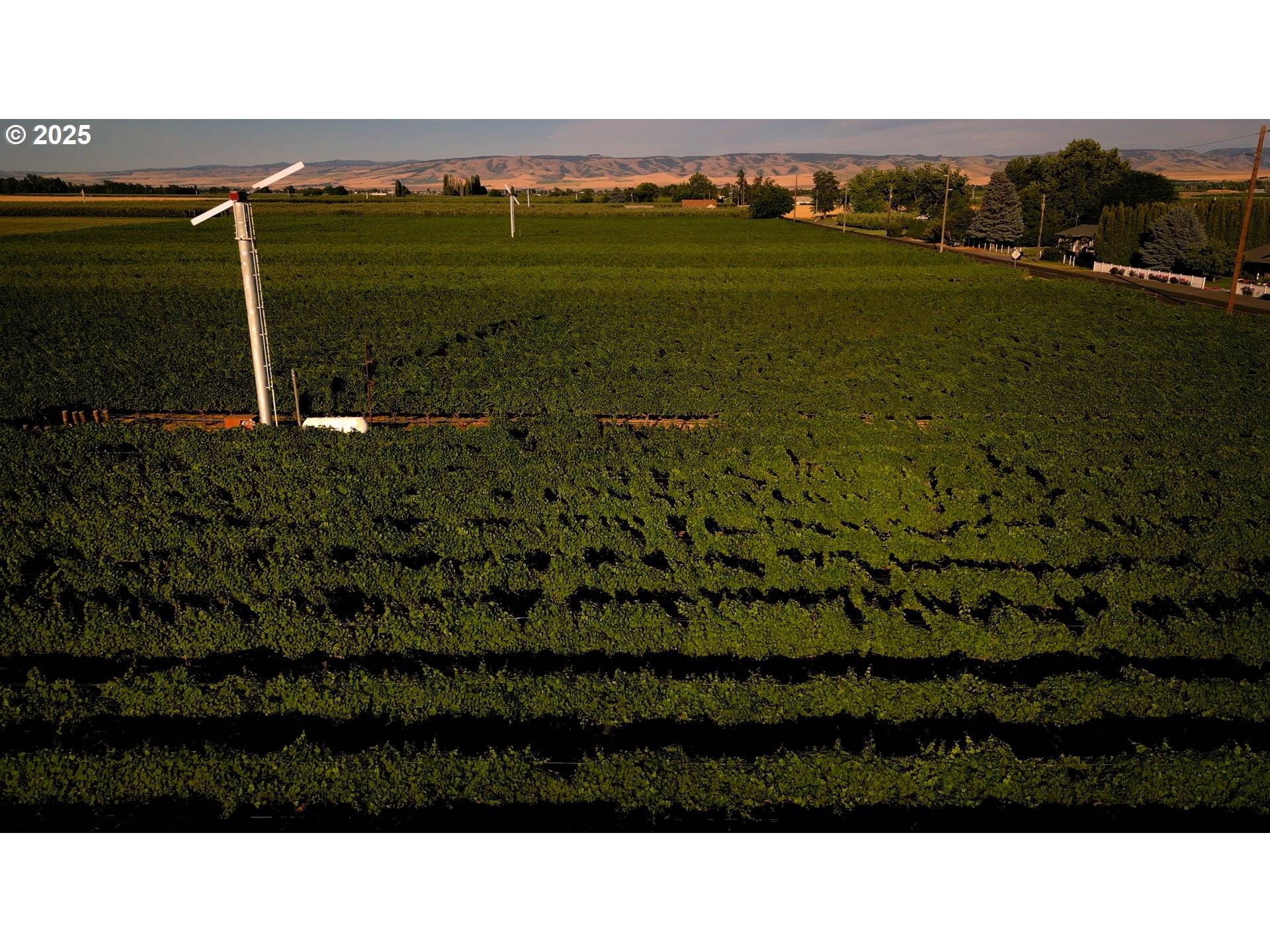 Milton Freewater, OR 97862,0 Pleasant View RD