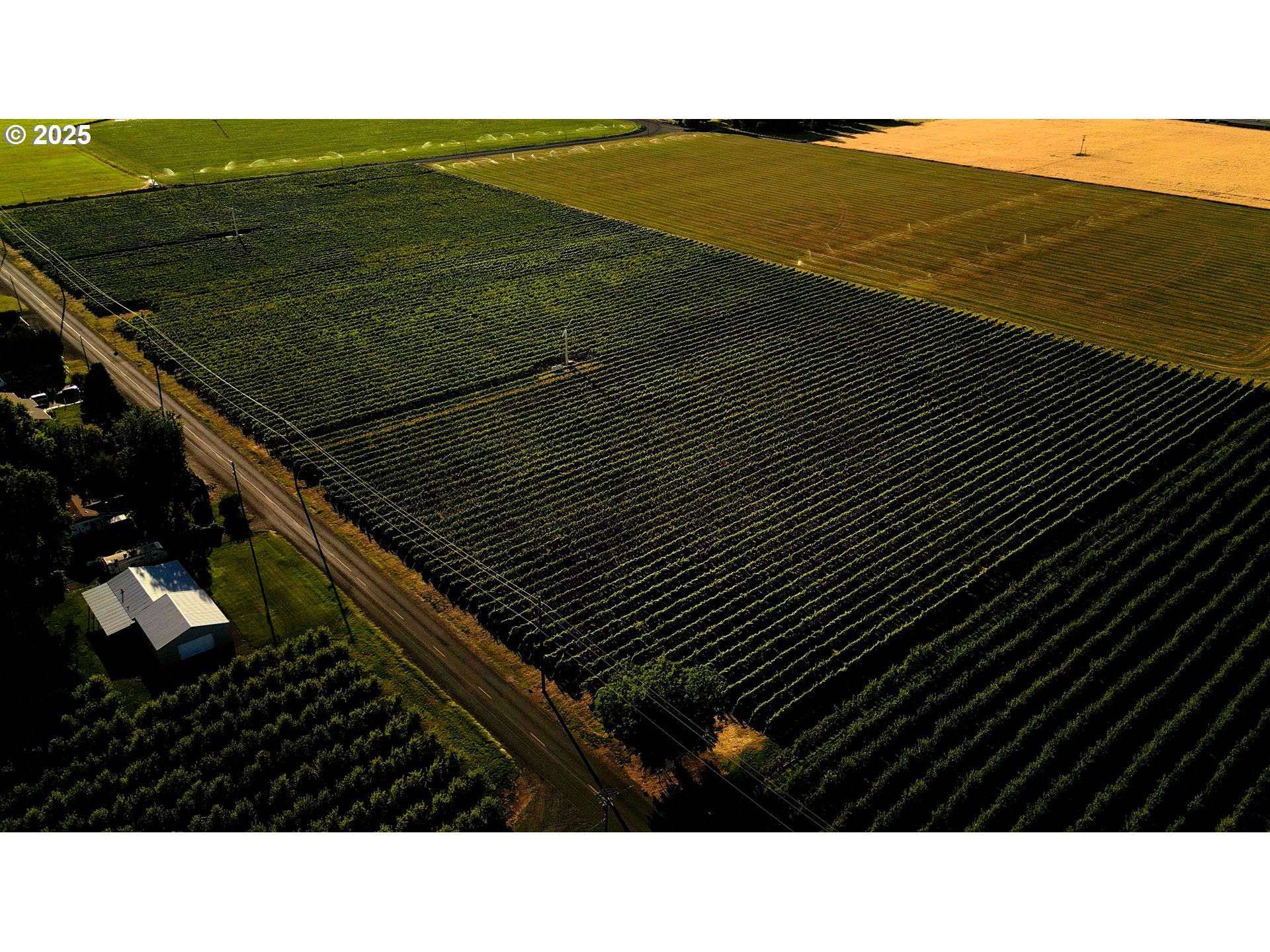 Milton Freewater, OR 97862,0 Pleasant View RD