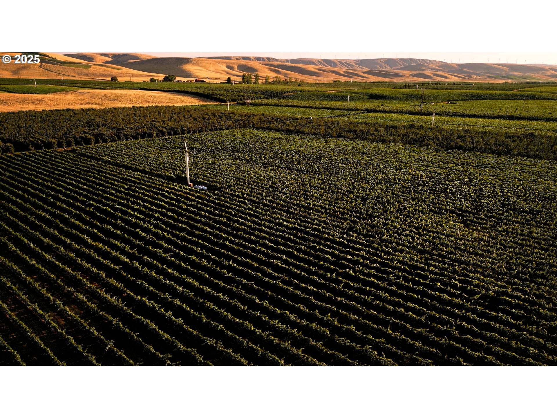 Milton Freewater, OR 97862,129650 Edwards RD