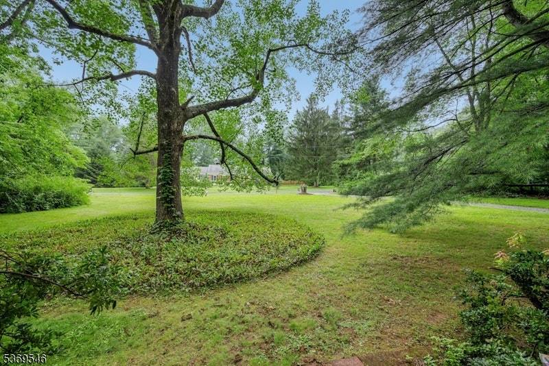 Chester Twp., NJ 07930,8 Delwood Rd