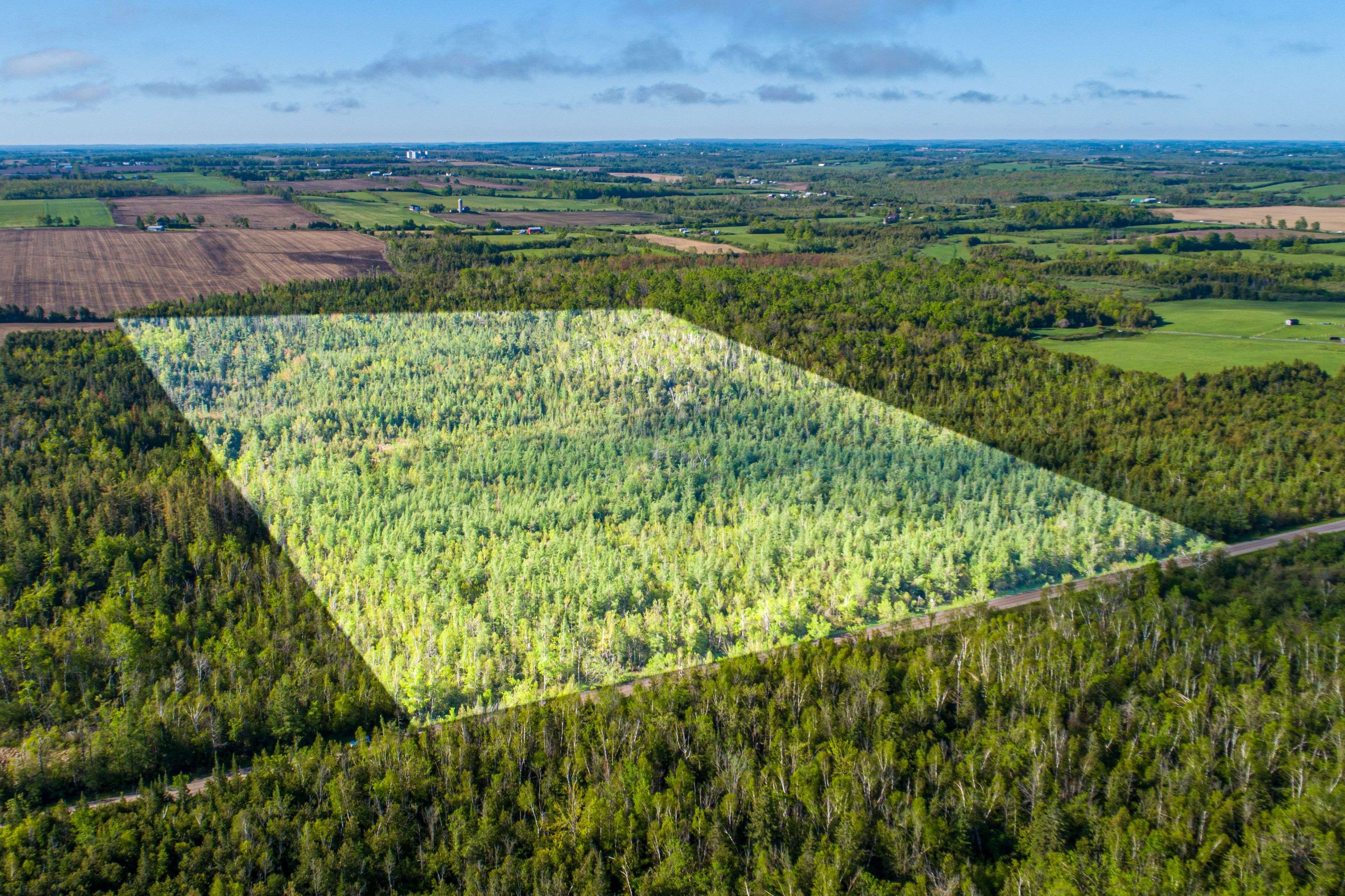 Kawartha Lakes, ON K0M 2C0,Lot 3 Black School RD