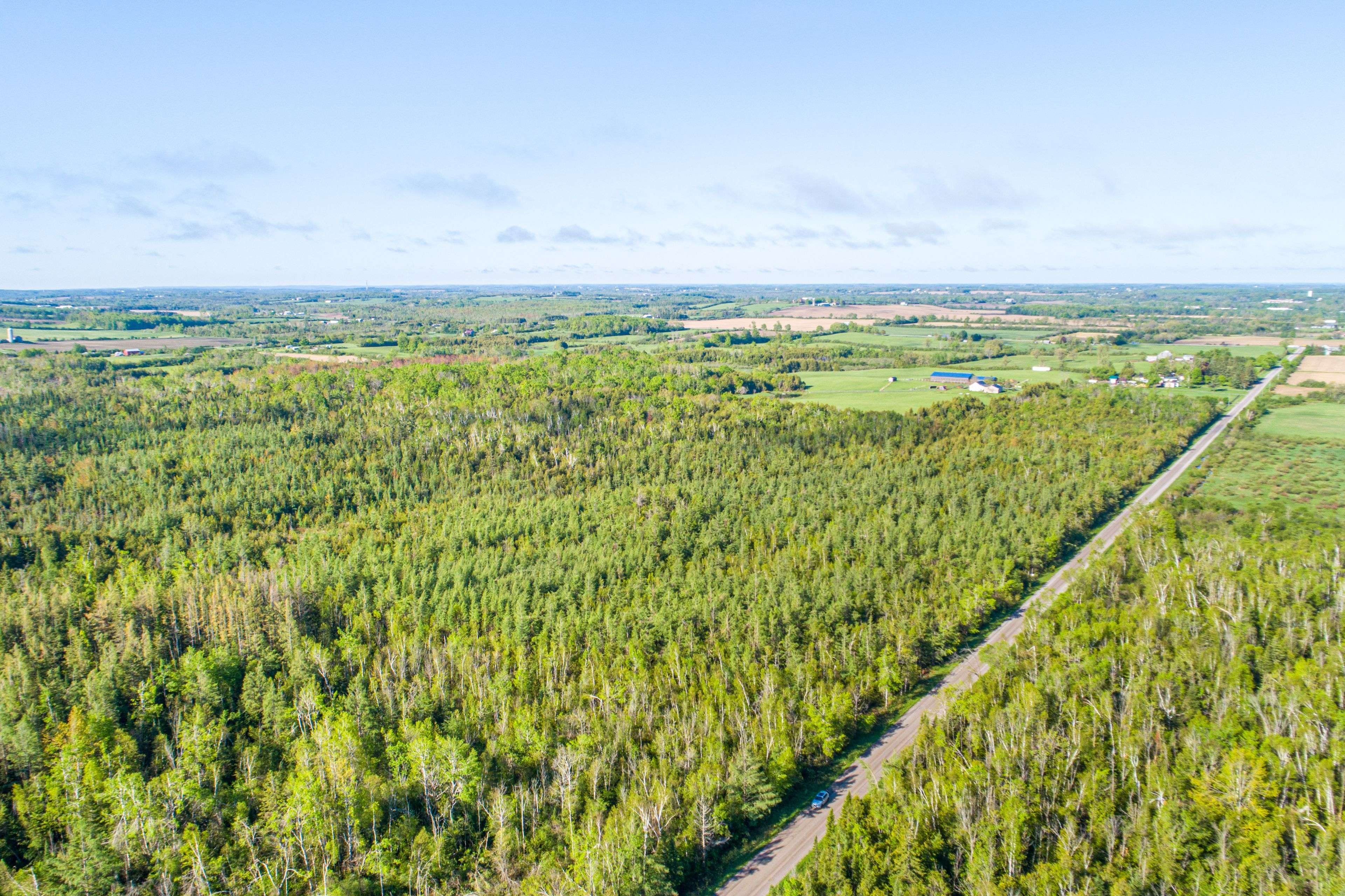 Kawartha Lakes, ON K0M 2C0,Lot 3 Black School RD