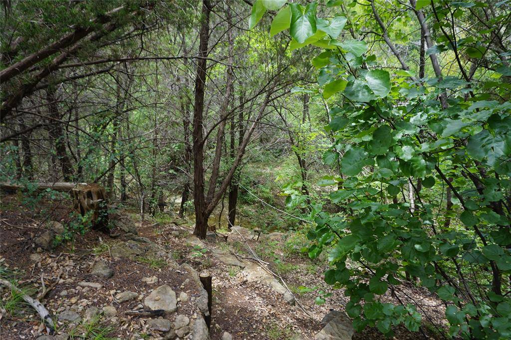 Possum Kingdom Lake, TX 76449,Lot 504 Canyon Wren