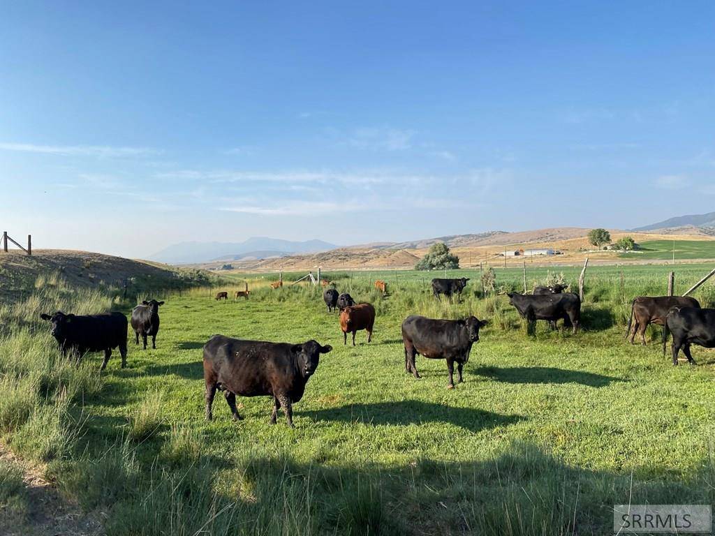 Downey, ID 83234,17535 S Old Hwy 91
