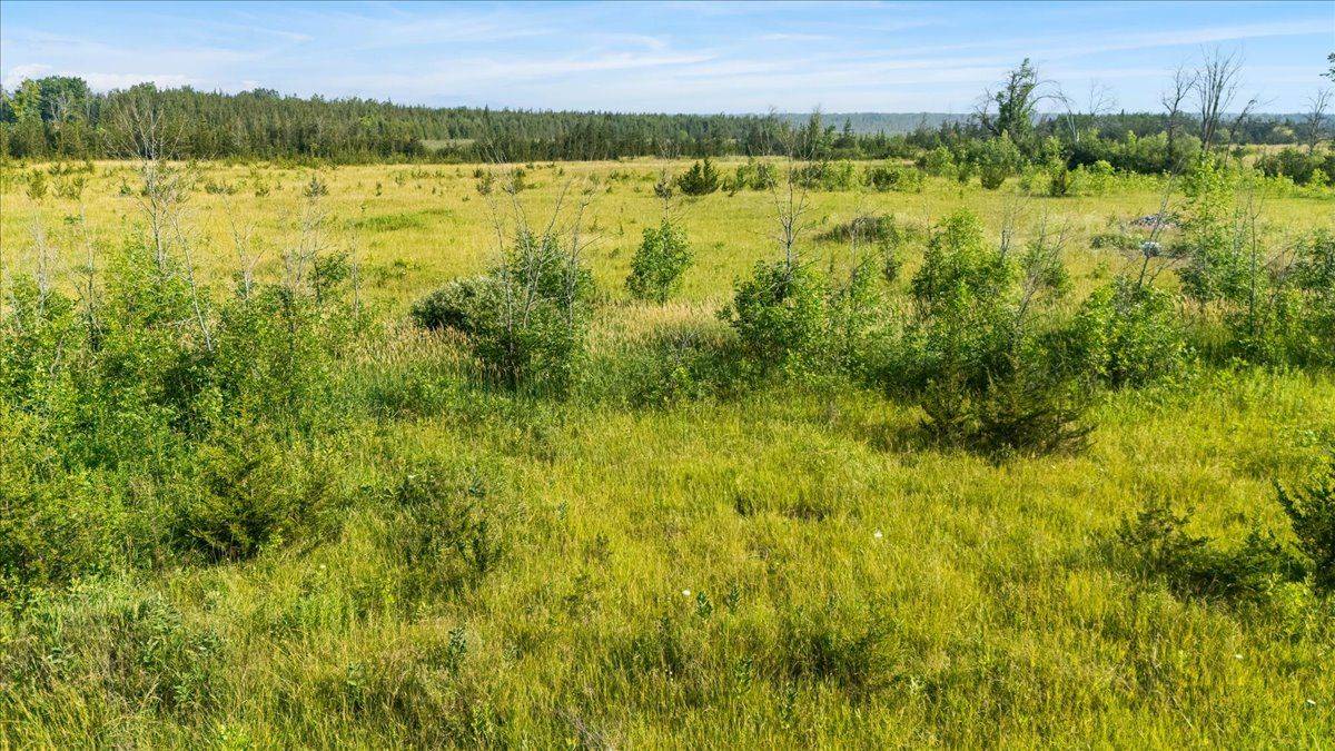 Tyendinaga, ON K0K 2N0,3529 Blessington RD