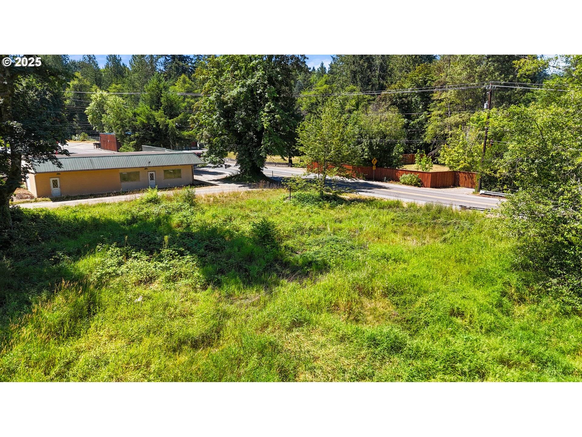 Amboy, WA 98601,000 NE 221ST AVE