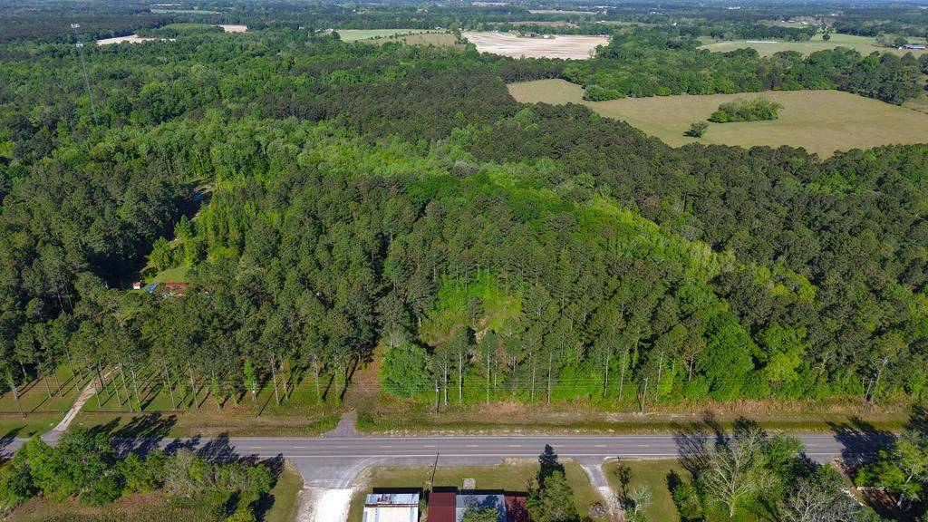 Slocomb, AL 36301,0 S State Highway 109