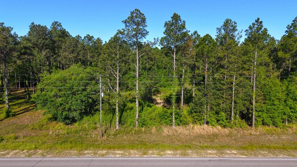 Slocomb, AL 36301,0 S State Highway 109