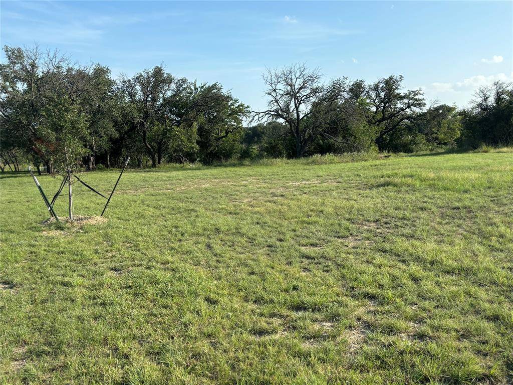 Comanche, TX 76442,TBD LOT 103 DRAKE COURT