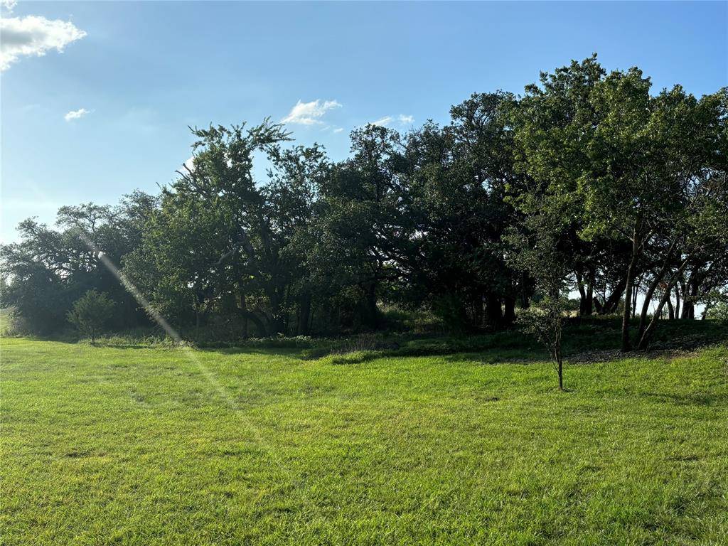 Comanche, TX 76442,TBD LOT 103 DRAKE COURT