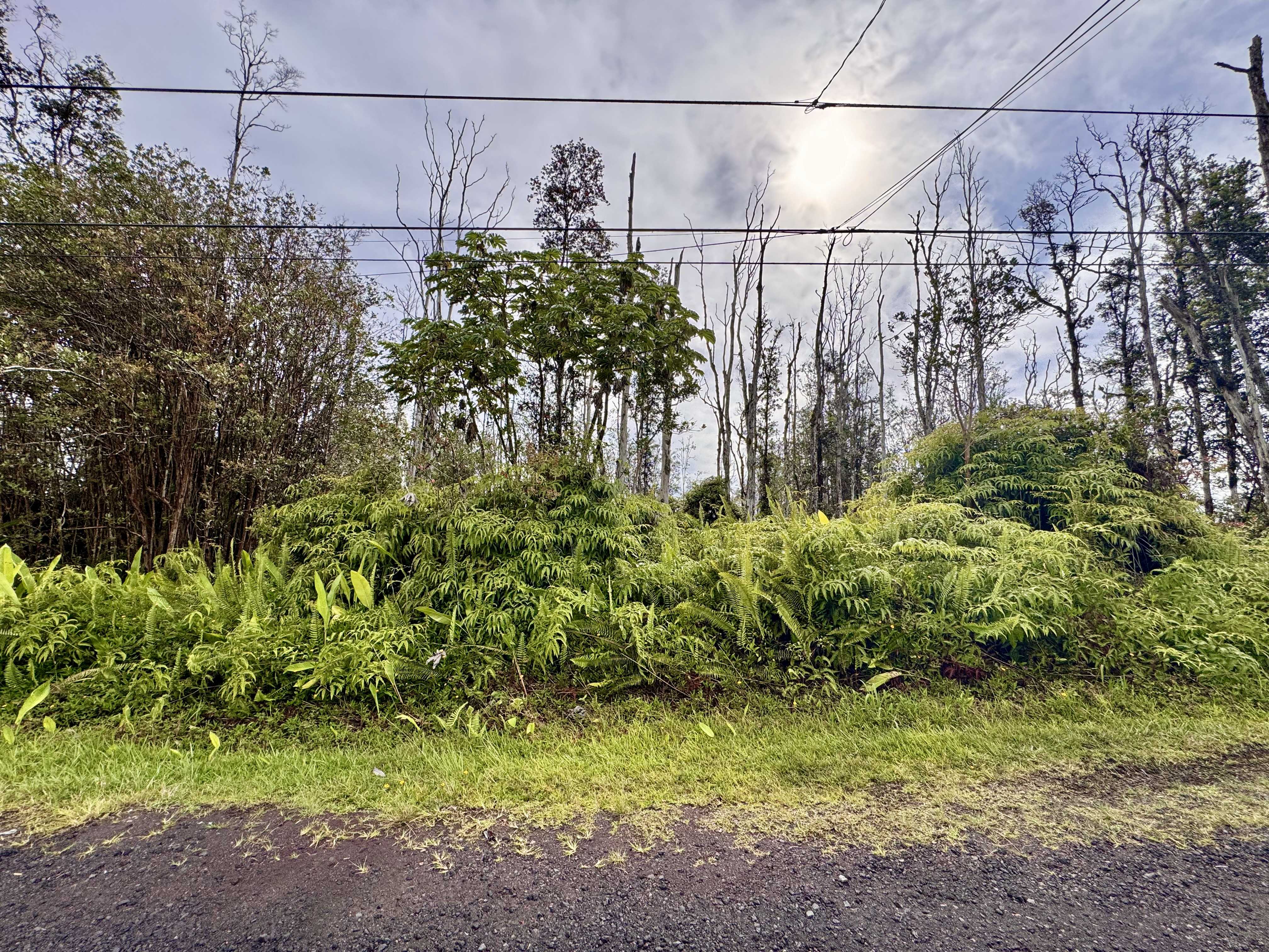 Pahoa, HI 96778,16-2165 SUGARCANE LN