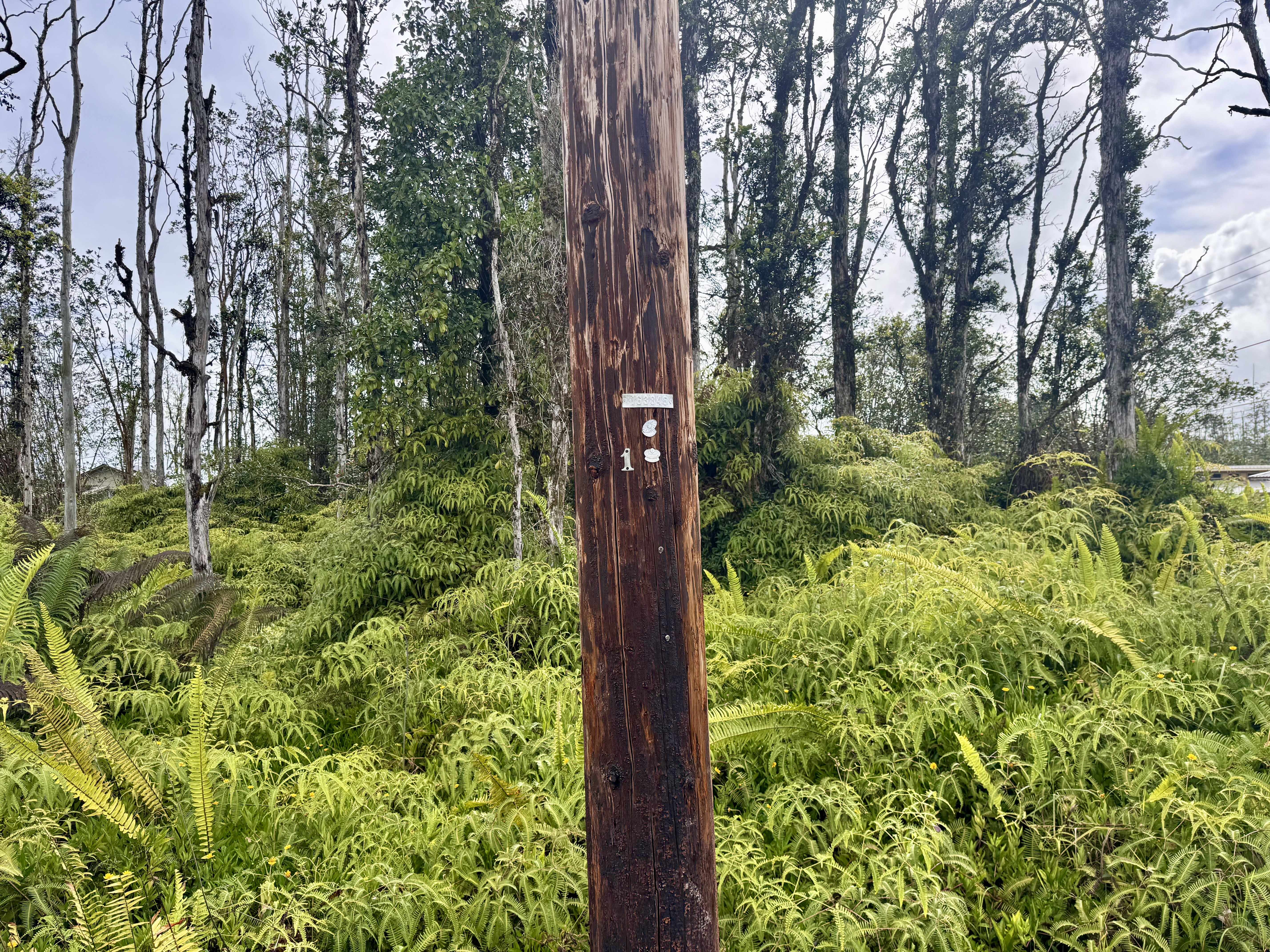 Pahoa, HI 96778,16-2165 SUGARCANE LN