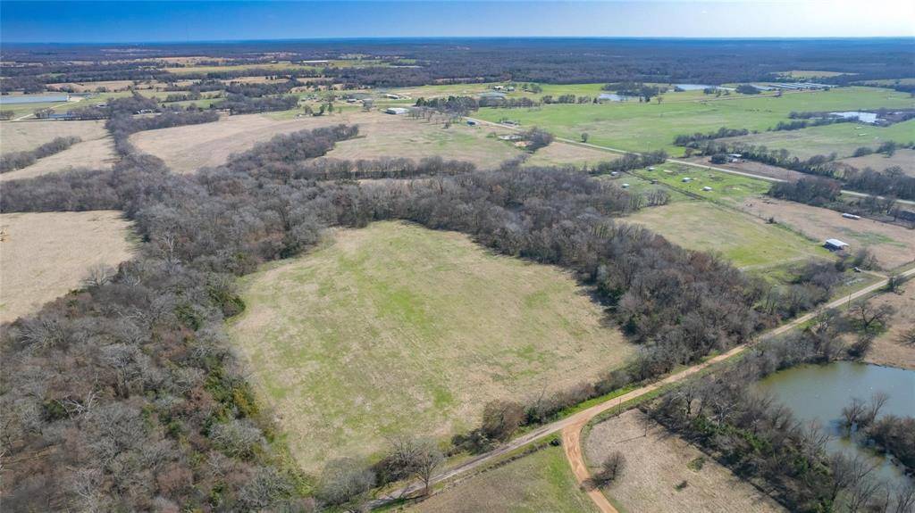 Saltillo, TX 75478,112 Acres Farm Road 3105 #6